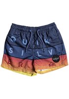 Quiksilver Word Block Volley 11" Boardshorts Boys