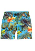 O'neill Flying High Boardshorts Boys