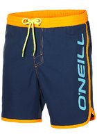 O'neill Frame Logo Boardshorts