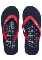 Animal Costaz Logo Sandals