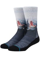 Stance Landlord Socks