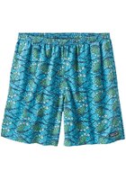 Patagonia Baggies Long 7" Shorts