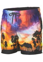O'neill Mid Vert Photo Art Boardshorts