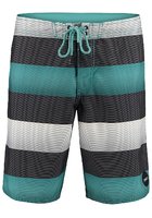 O'neill Santa Cruz Stripe Boardshorts