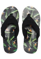 Animal Jekyl Aop Sandals