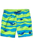 O'neill Thirst For Surf Boardshorts Boys