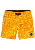 O'neill Thirst For Surf Boardshorts Boys
