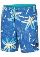 O'neill Long Vert Art Boardshorts