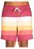 O'neill Horizon Boardshorts