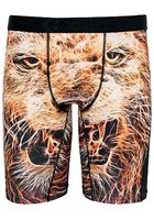 Ethika Pride Boxershorts