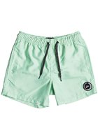 Quiksilver Everyday Volley 13" Boardshorts Boys