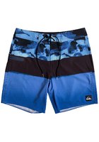 Quiksilver Blocked Resin Camo 18 Boardshorts