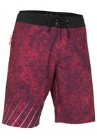 Ion Logo 20'' Boardshorts