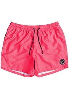 Quiksilver Everyday 15" Boardshorts