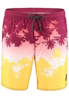 O'neill Palms Boardshorts