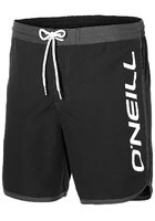 O'neill Frame Logo Boardshorts