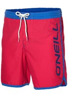 O'neill Frame Logo Boardshorts