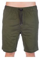 Element Altona Shorts