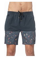 Globe Dion Fleck Boardshorts