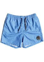 Quiksilver Everyday Volley 13" Boardshorts Boys