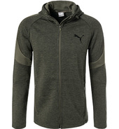 Puma Hoodie 851722/0015