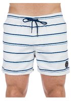 O'neill Mid Vert Art Boardshorts