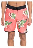 Dc All Season Scallop 18 Boardshorts