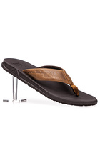 Reef Zehensandale Brown-tan Rf002025/btn