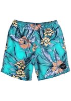 Quiksilver Pua Volley 15" Boardshorts Boys
