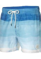 O'neill Mid Vert Horizon Boardshorts