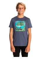 Rip Curl Good Day T-shirt Boys