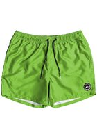 Quiksilver Everyday 15" Boardshorts