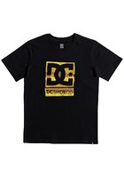 Dc Rusted Panel T-shirt Boys