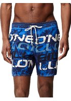 O'neill Stacked Boardshorts