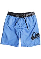 Quiksilver Lava Logo Volley 15" Boardshorts Boys