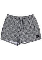 Quiksilver Static Island Volley 15" Boardshorts