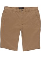 Element Howland Classic Shorts