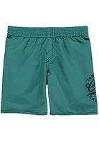 O'neill Surf Cruz Boardshorts Boys