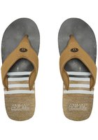 Animal Jekyl Swim Sandals