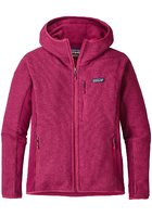 Patagonia Sweater Hooded Fleece Jacket