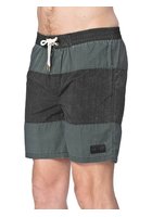 Globe Dion Cellar Boardshorts