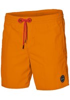 O'neill Vert Boardshorts