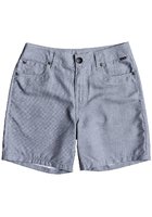 Quiksilver Nelson Amphibian 15" Boardshorts Boys